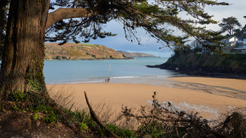 South Sands from hill This landscape photograph captures South Sands beach and coast in Devon, England, in the United Kingdom, taken during a late winter afternoon. The view is from a hillside vantage point, looking through the branches of a large tree toward the sandy beach below, where a few people are visible walking near the shoreline. Houses line the cliffs to the right, and the calm sea stretches out toward rolling hills in the background. The natural light of the afternoon highlights the textures of the beach and surrounding greenery, illustrating the scenic beauty of the Devon coastline.